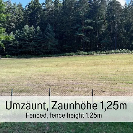 Waldhaus: Sauna | Kamin Сasa de vacaciones Alpirsbach